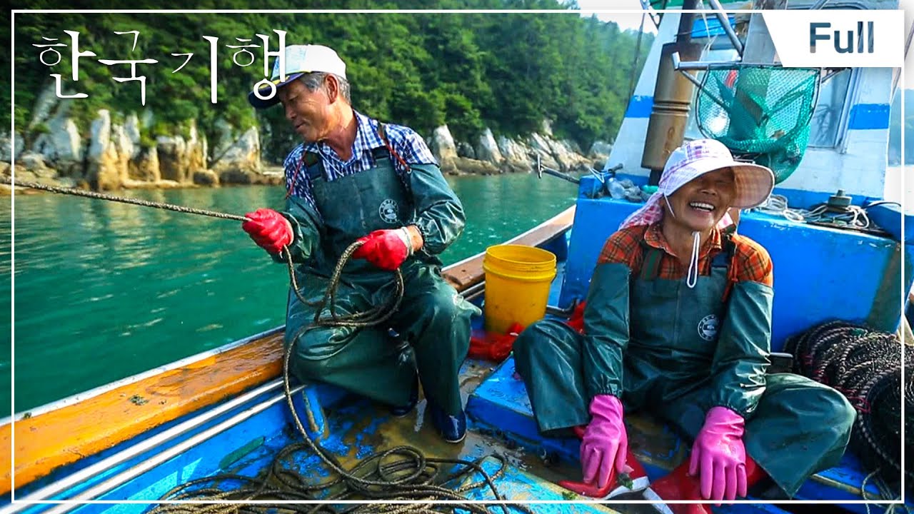 [Full] 한국기행 - 여수반도 - 제2부 하화도 피문어 들다 20140902