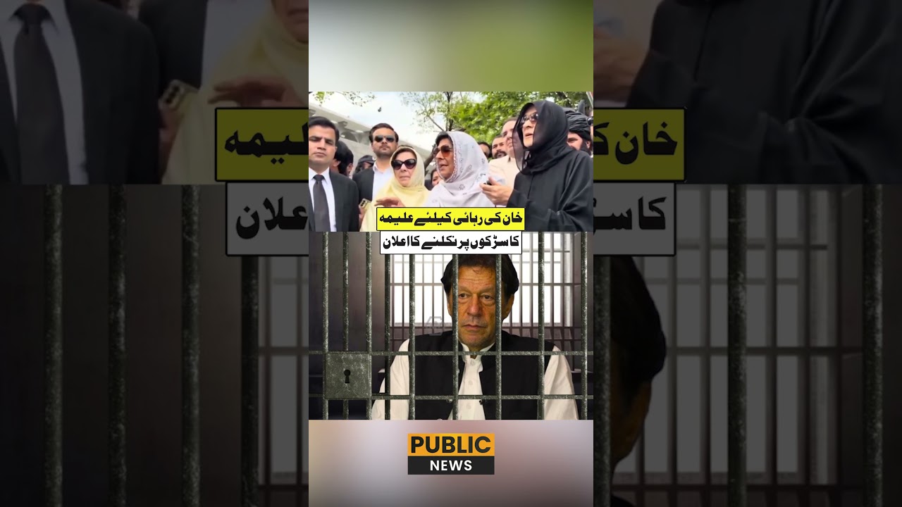 Aleema Khan Dabung Statement over Imran Khan Release | Public  News
