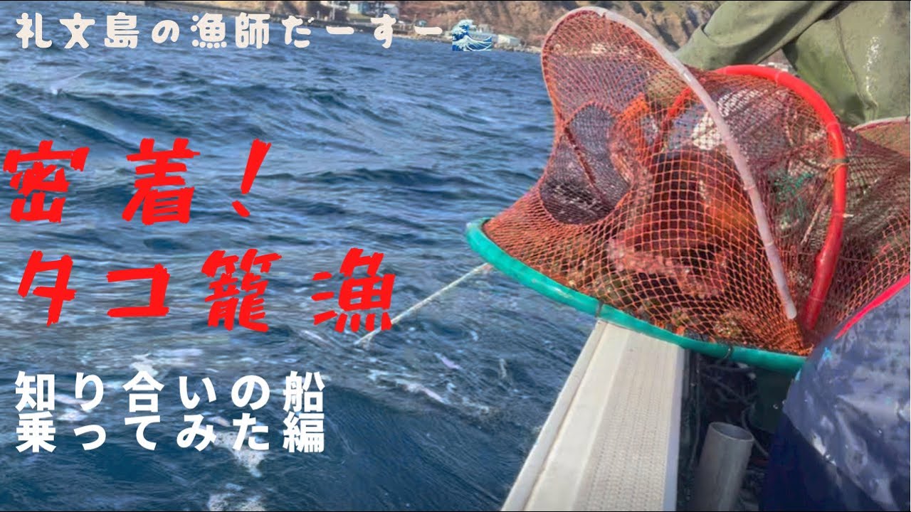 （礼文島）密着タコ籠漁🐙