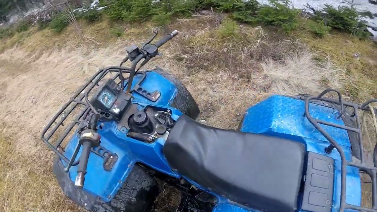 1992 Suzuki kingquad 300