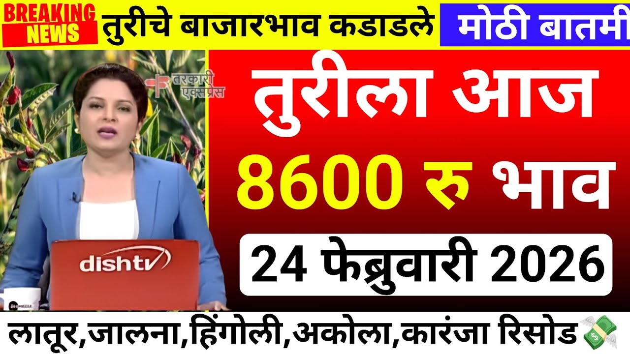 तुरीला आज सर्वाधिक 8600 रु भाव| tur bajar bhav akola|Tur bajar bhav jalana|tur bhav today