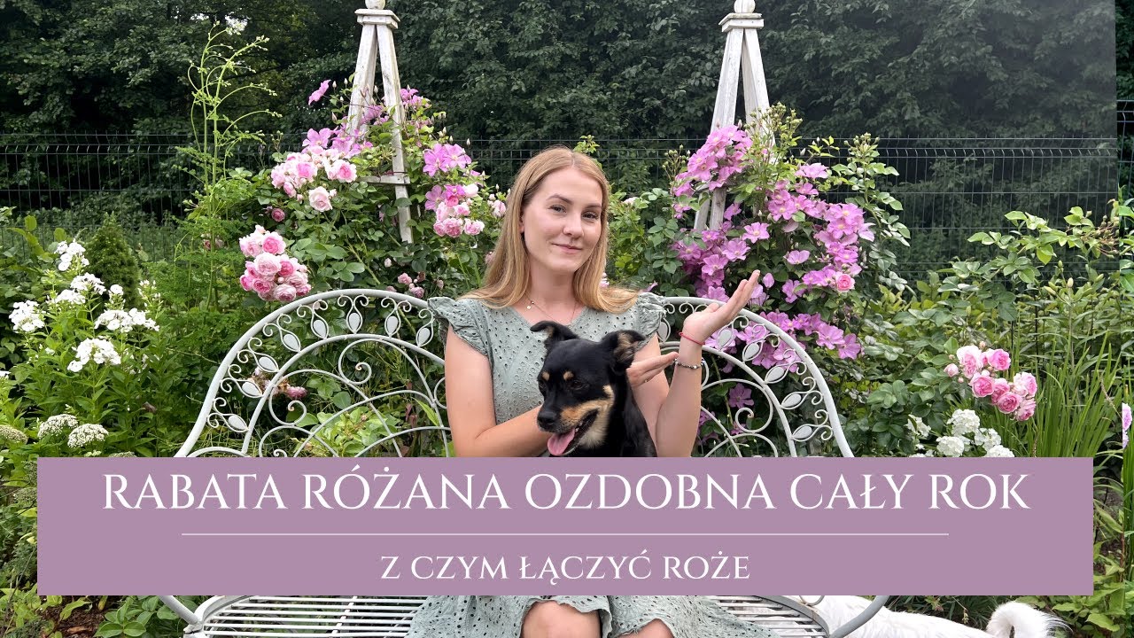 Rabata różana ozdobna przez cały rok | spacer po różance | co posadzić z różami