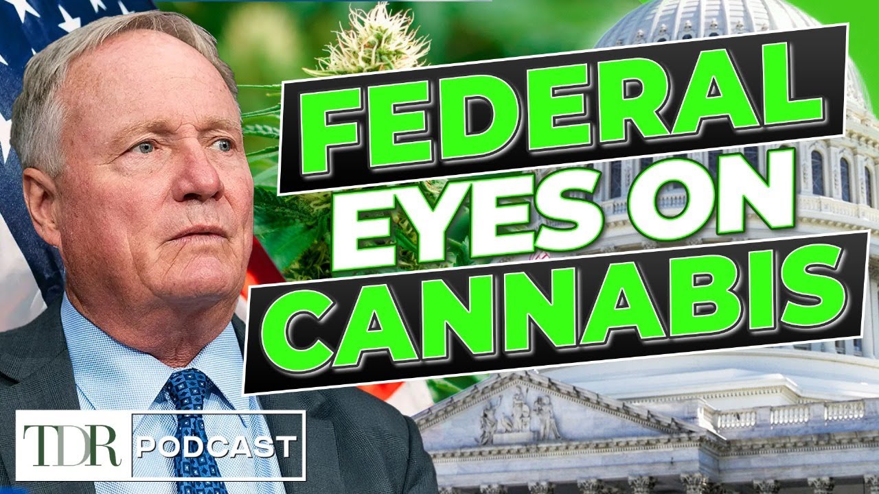 Congress Orders Study of State Cannabis Laws | TDR Cannabis in 5