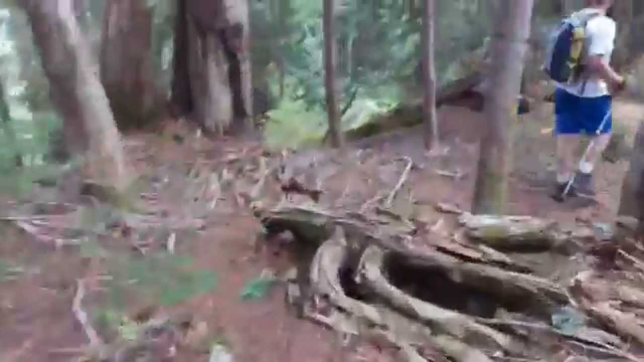 Part 2- halfway down from Kyes Peak