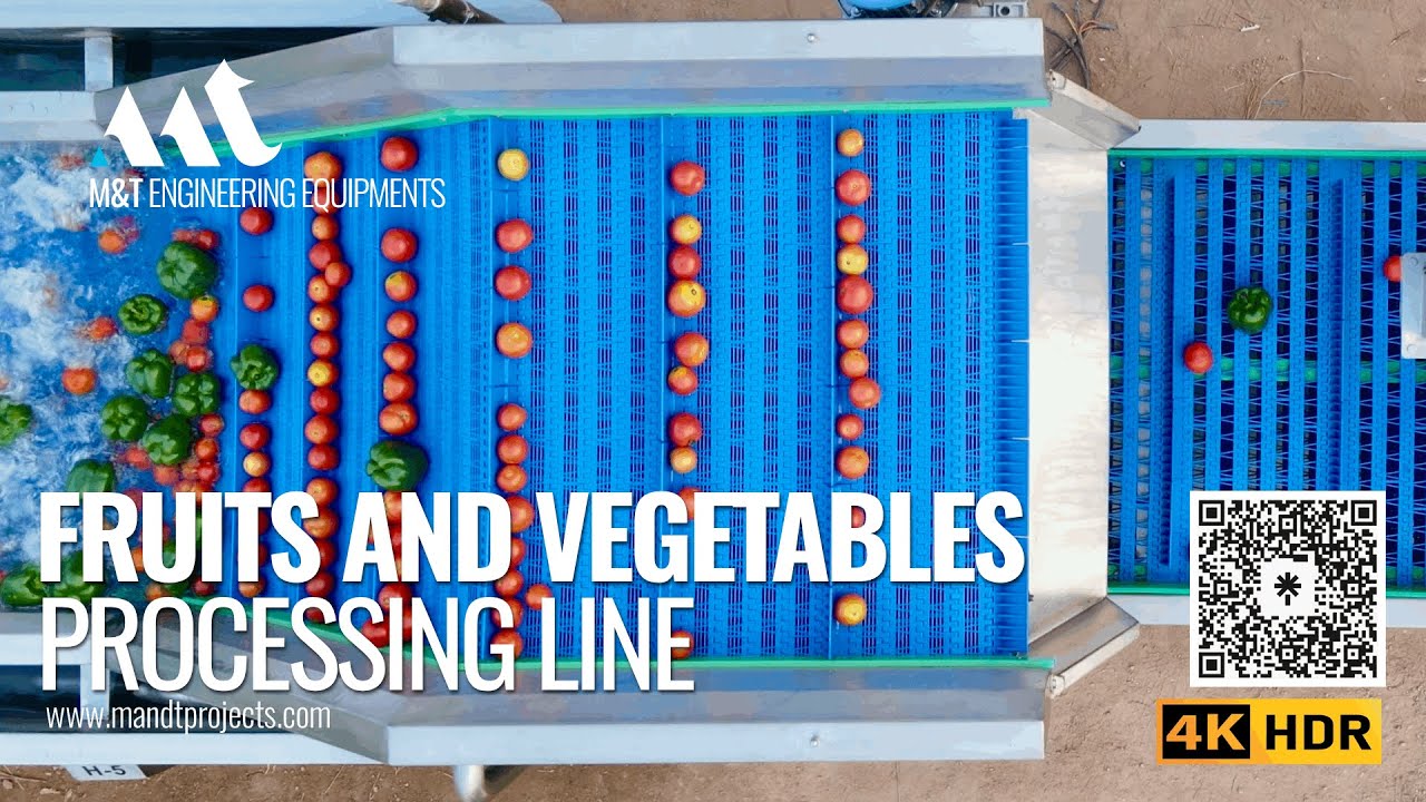 Fruits and Vegetable Washing Line, Fruits and vegetables Processing Line, Capsicum Washing Line.