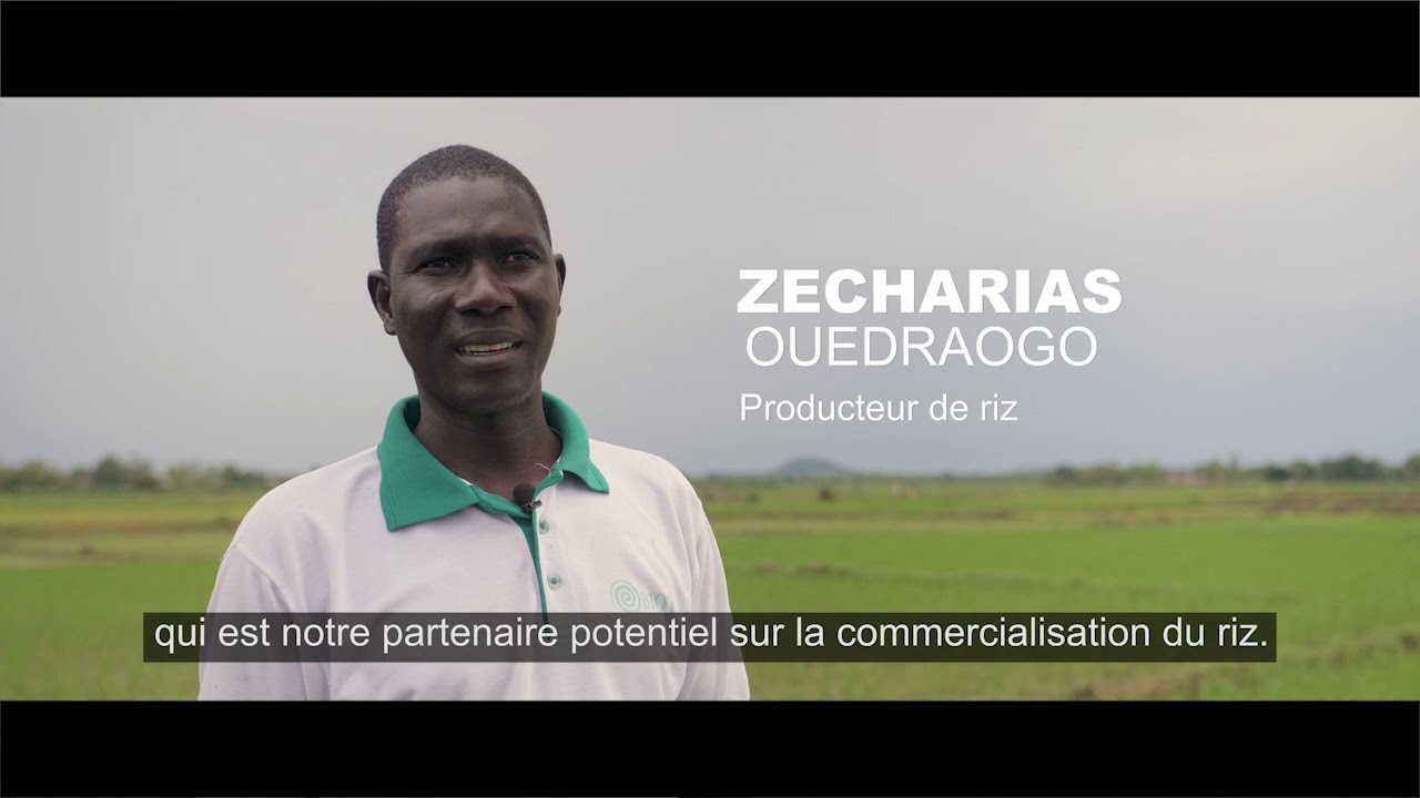 Promotion de la chaîne de valeur riz au Burkina Faso