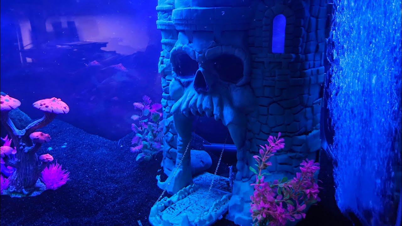 He-Man, Masters of the Universe, Castle Grayskull aquarium 