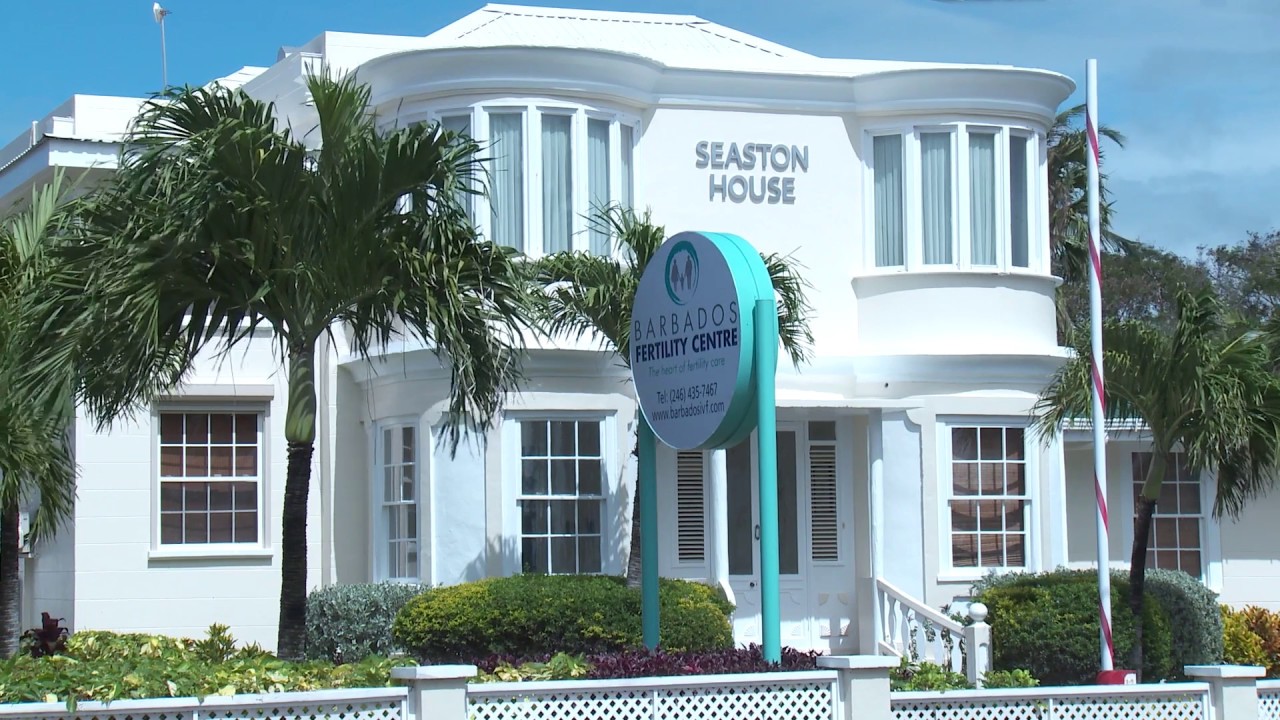 The Barbados IVF Experience -  Step 8 - Stimulation Phase