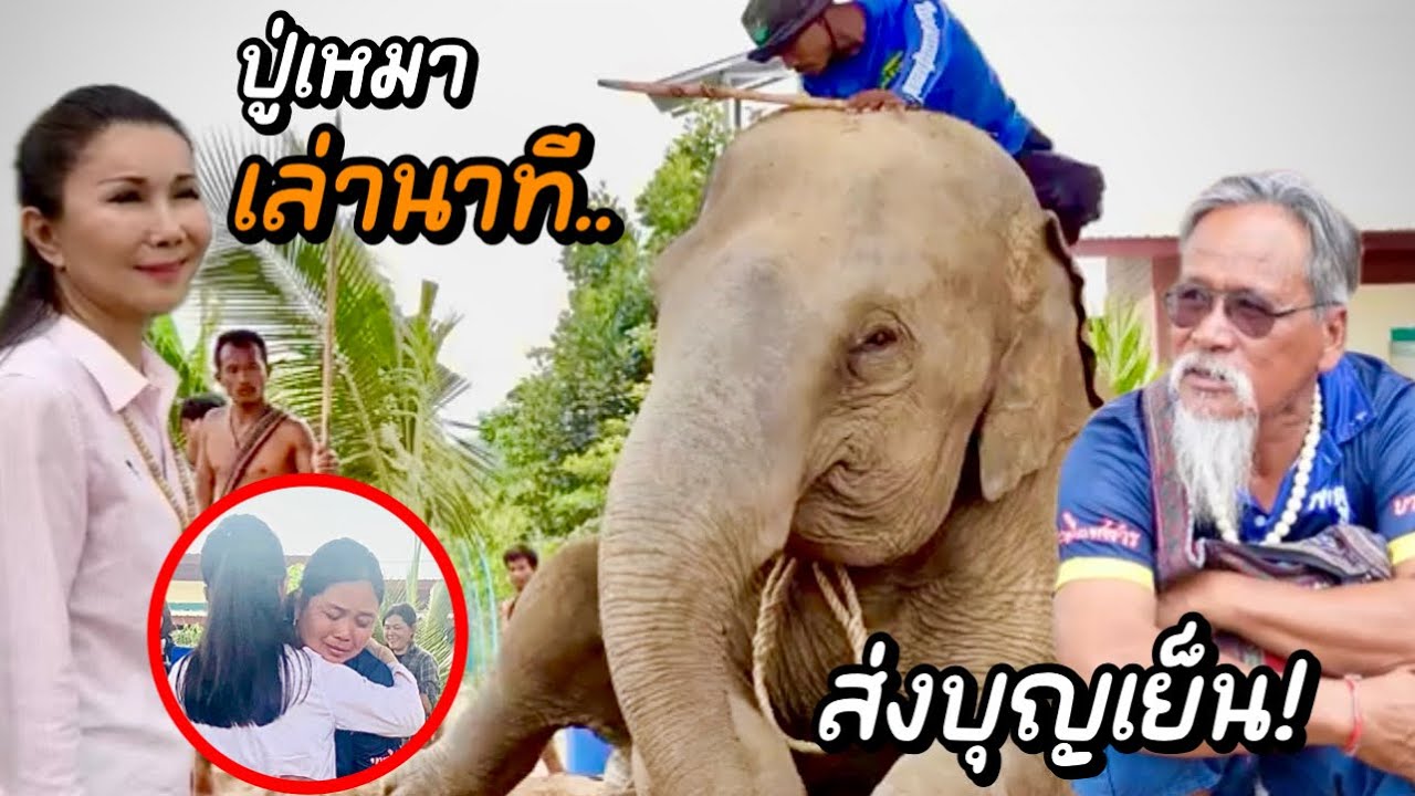 ส่งบุญเย็นไป…❗️คุณหนูนามารับ❗️ปู่เหมาเศร้าเล่าวินาที‼️