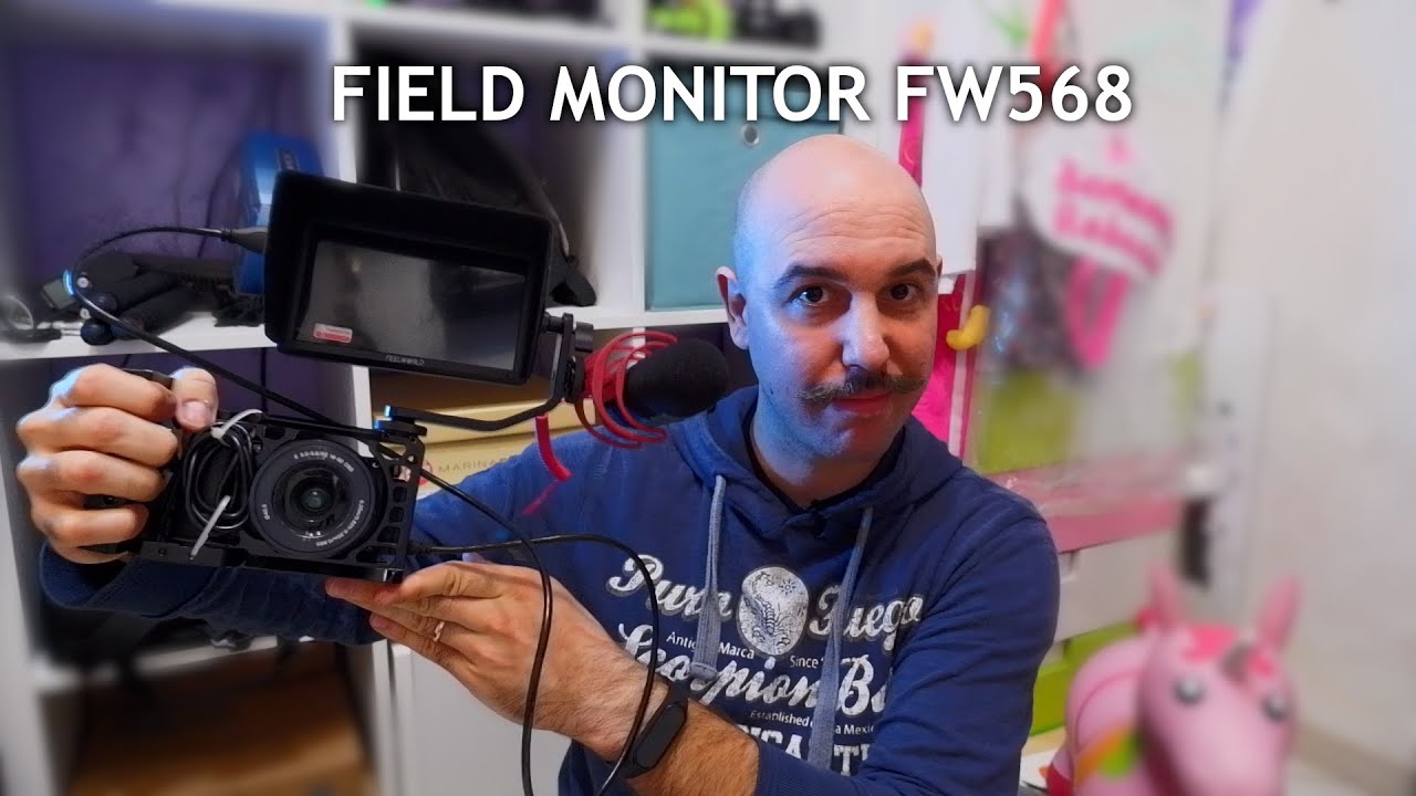 Field monitor Feelworld FW568