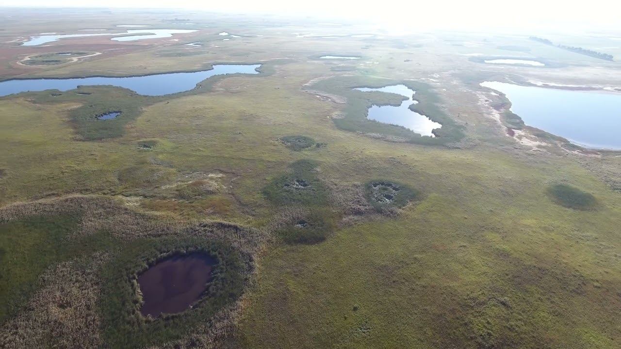 400 Acres Towner Co, ND Land Auction, Parcel 2
