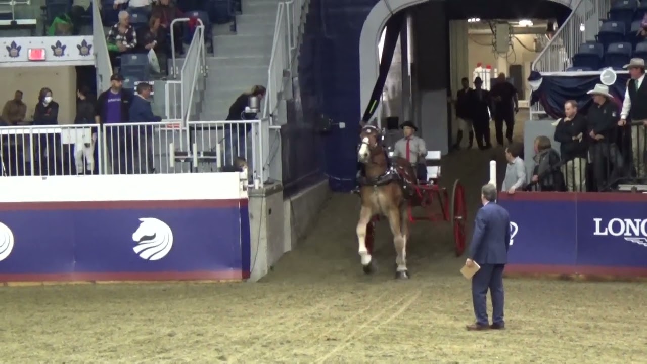 Royal Classic Cart Series (Single Draft Horse to Cart)