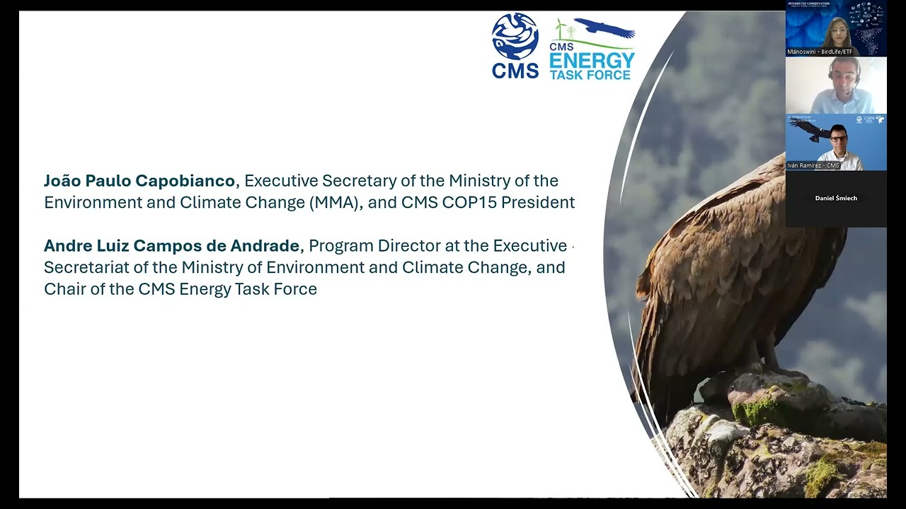 Webinar on Mitigating Renewable Energy Impacts in the Americas