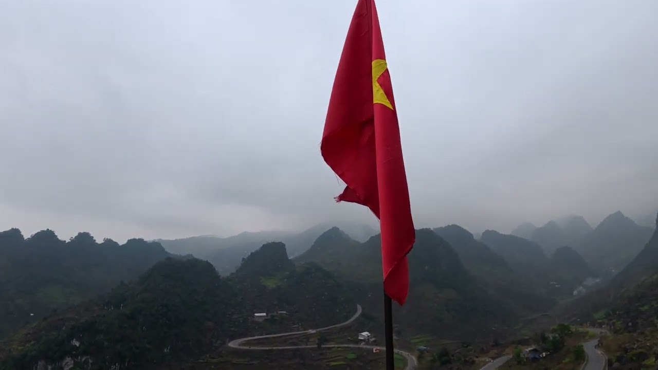 11 tháng 2, 2026