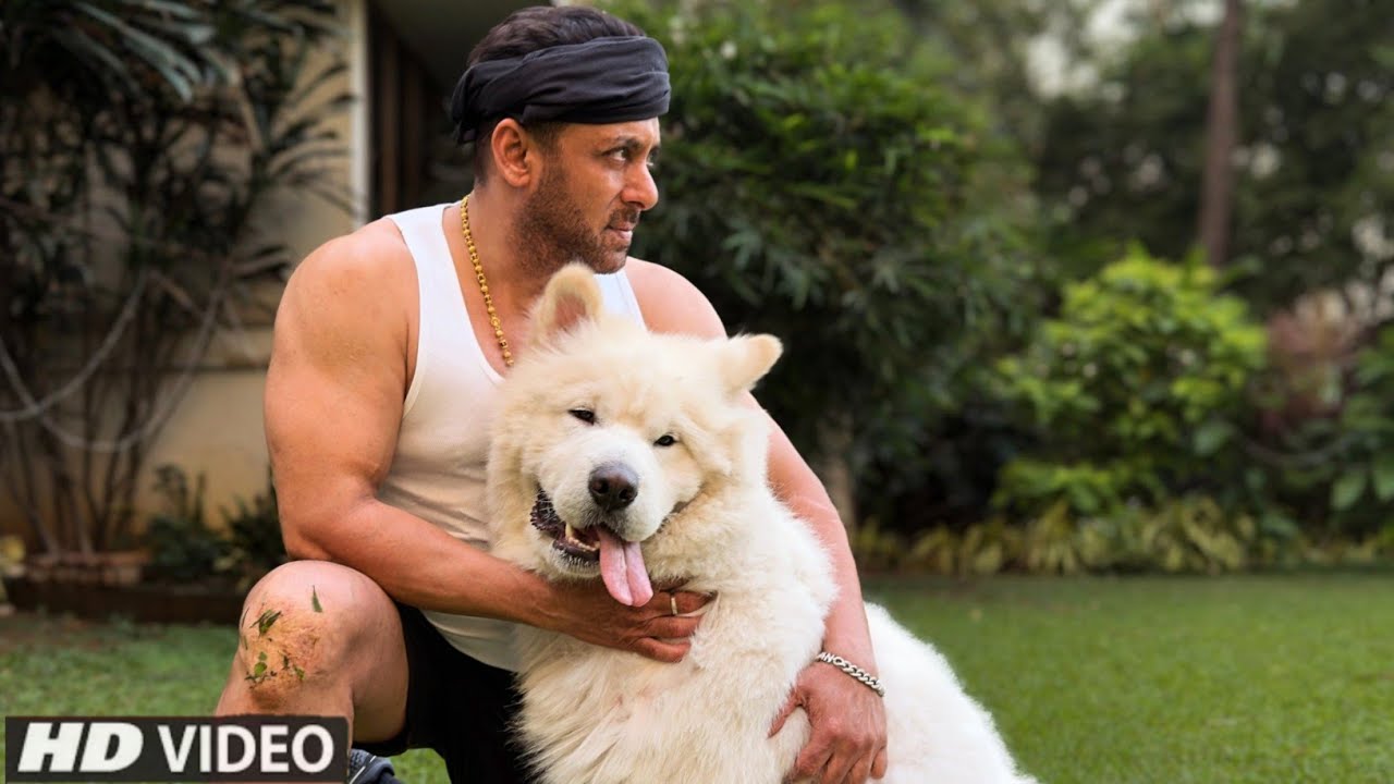 Megastar Salman Khan Shared Latest Post On Social Media With His Sukh...