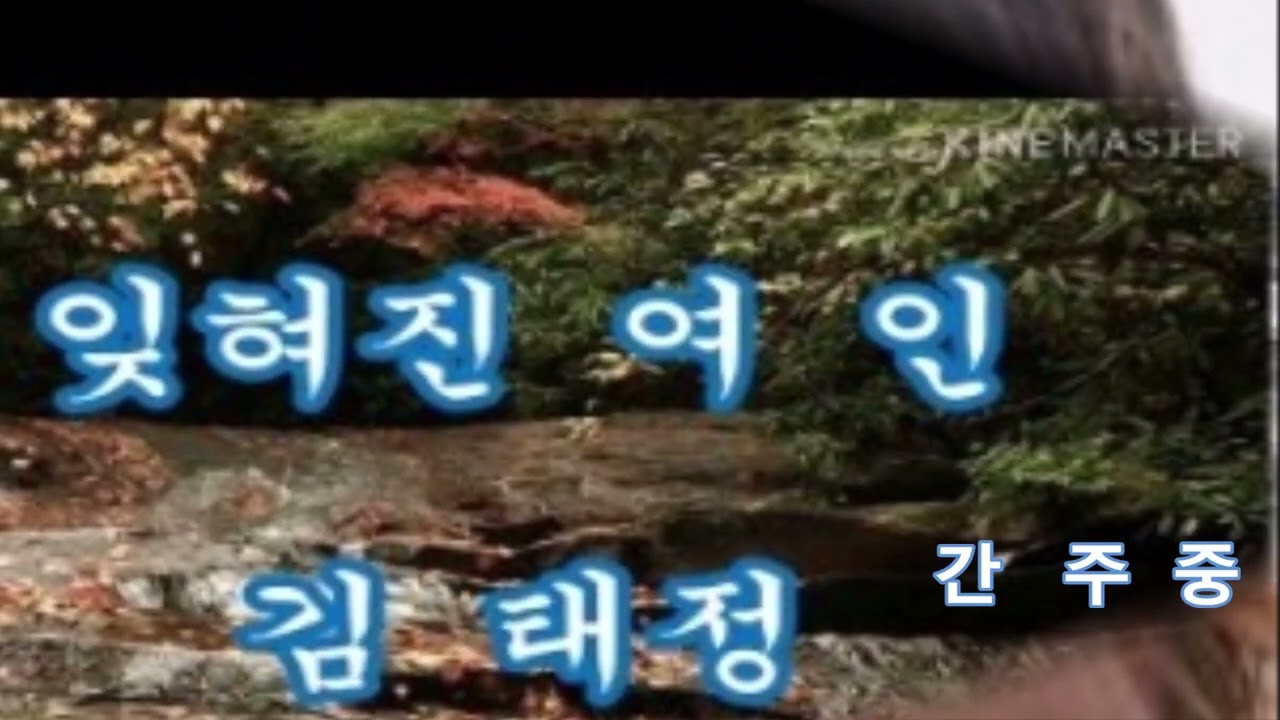 [회원연주]잊혀진 여인/크로매틱하모니카/연주 김옥례