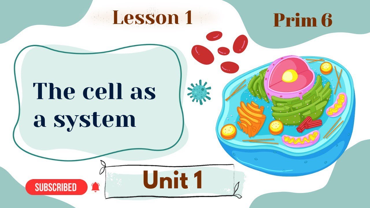 The cell | Grade 6 | Unit 1 | Concept1 - Lesson 1 | Science (2026)