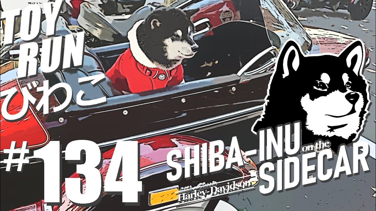 第６回 トイランびわこ【サイドカーに柴犬 