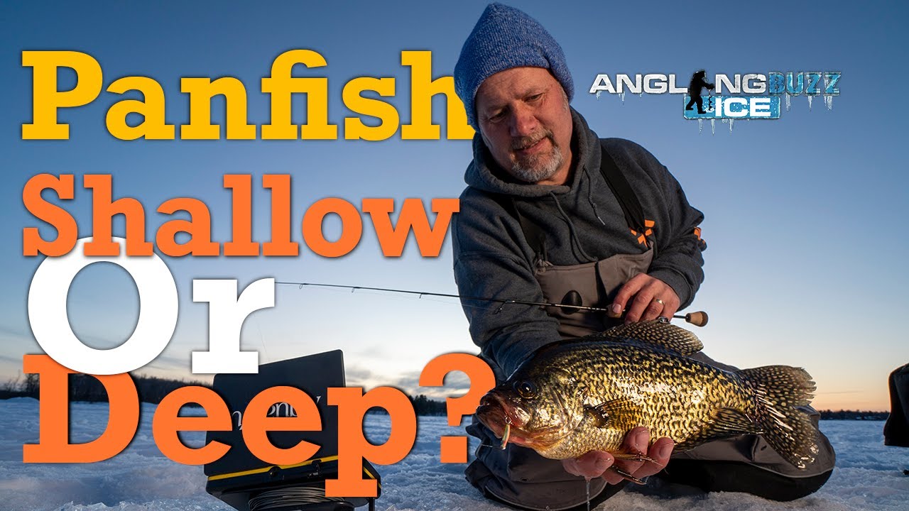 Panfish: Shallow and Deep?