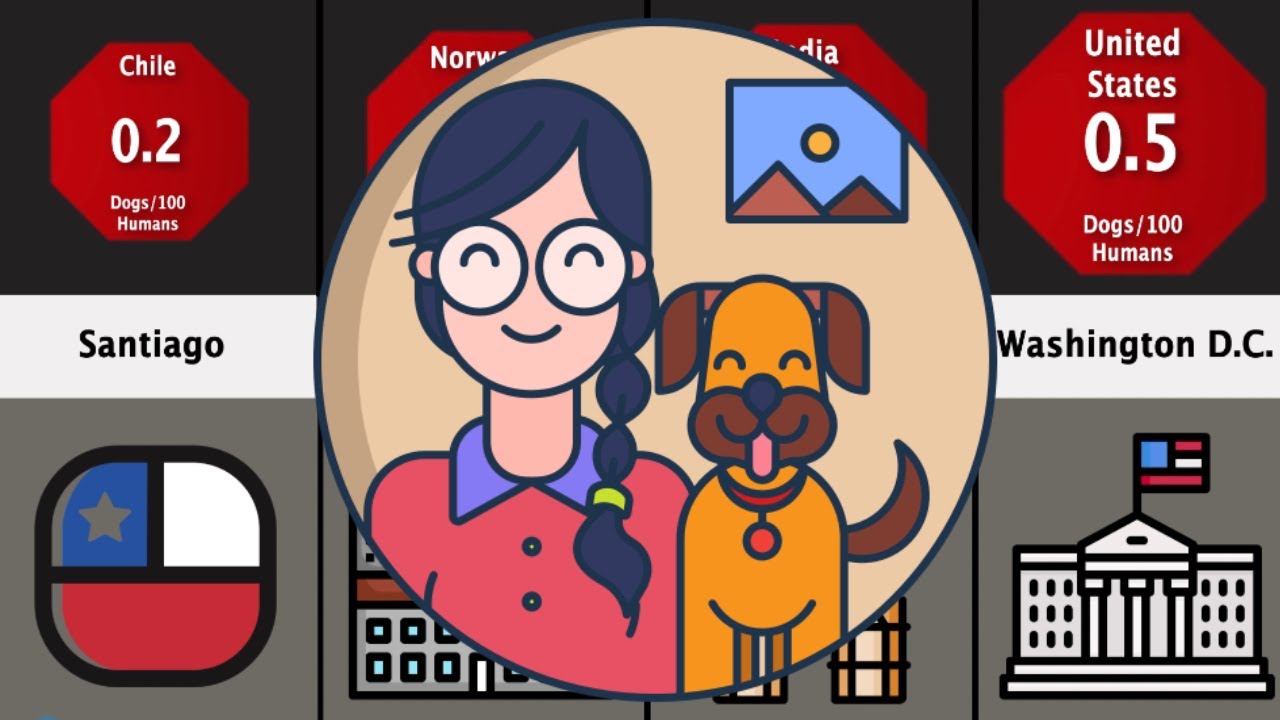 Comparison: Most Dog Friendly Cities In The World