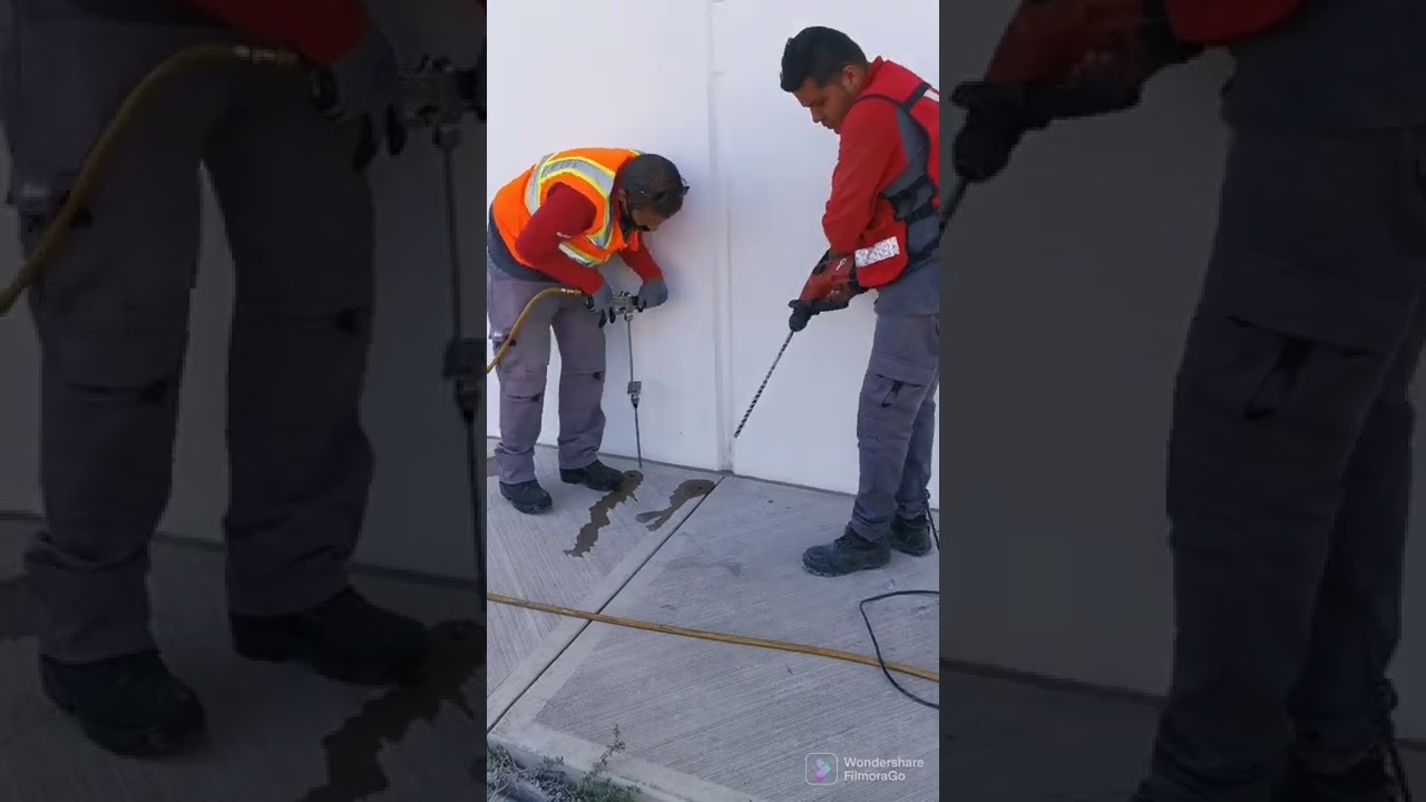 tratamiento termita subterránea Rentokil