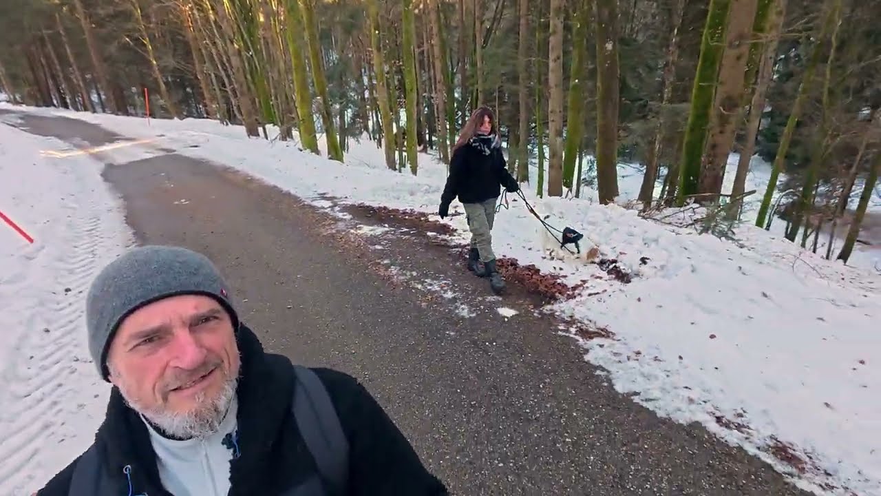 🏔️ Aussichtsturm Ochsenstiegl: Der beste Panoramablick über Thurmansbang!