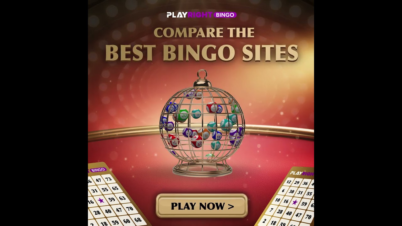 Compare The Best Bingo Sites