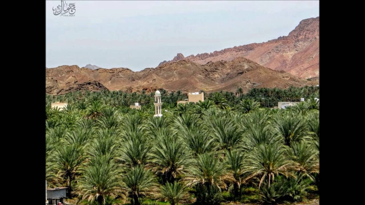 عرض مرئي مصوّر لبلدة نفعاء وتوابعها بولاية بدبد