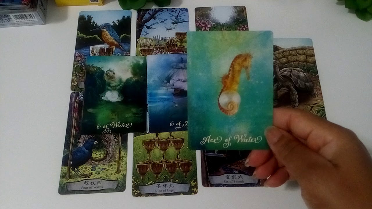 Twin Flames Divine Masculine - Cords Are Being Cut!!!