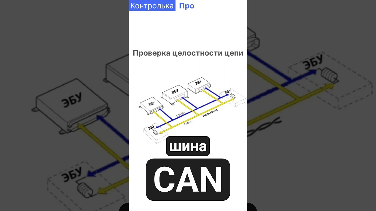 CAN шина. Быстрая проверка. Автомобильный мультиметр Контролька 3.0