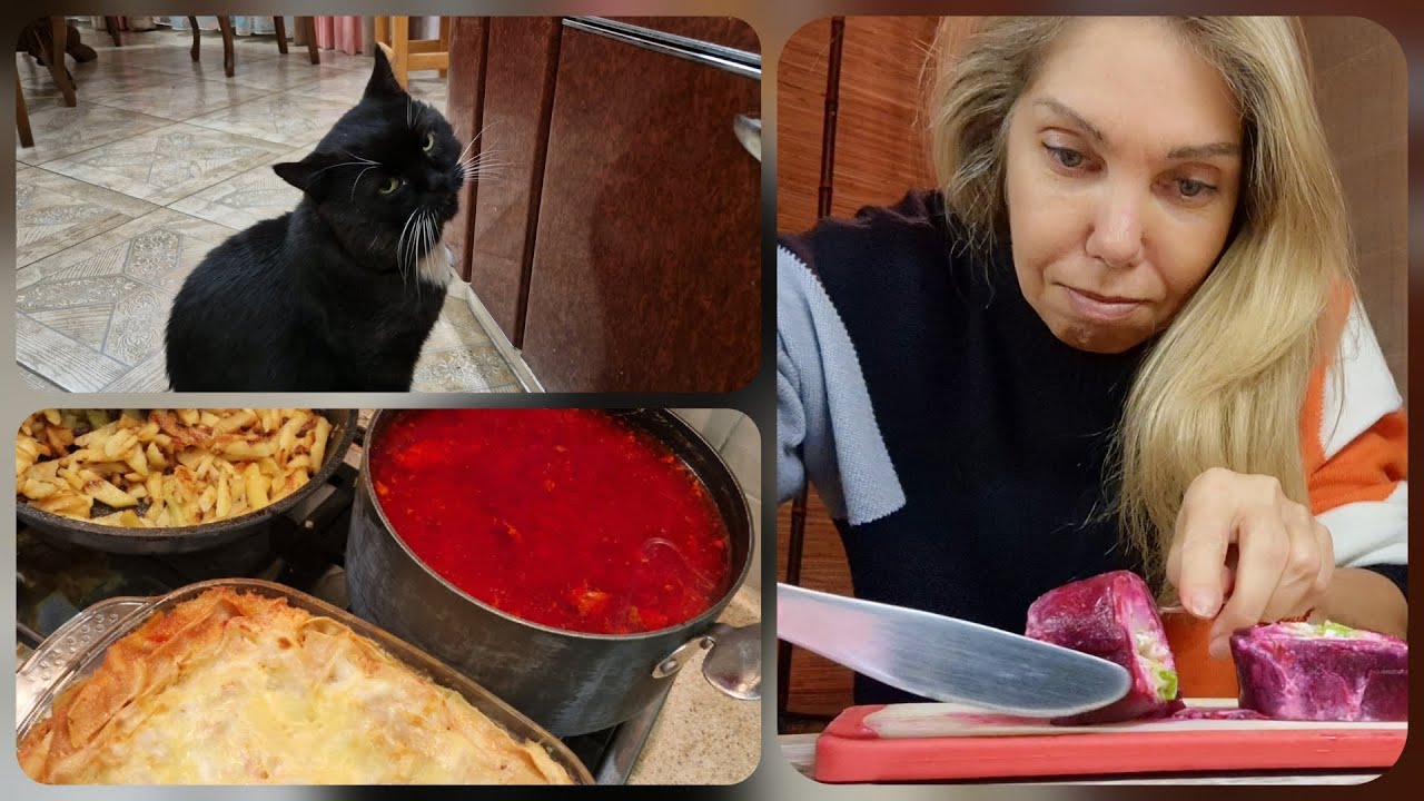 Мессии, кот-футболист) Нюансы на кухне)