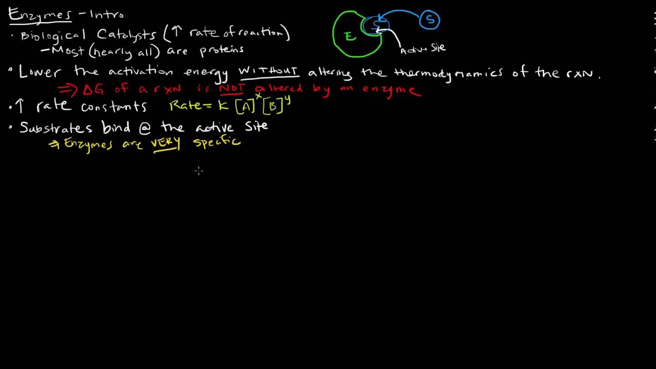 Enzymes (Part 1 of 5) - Introduction