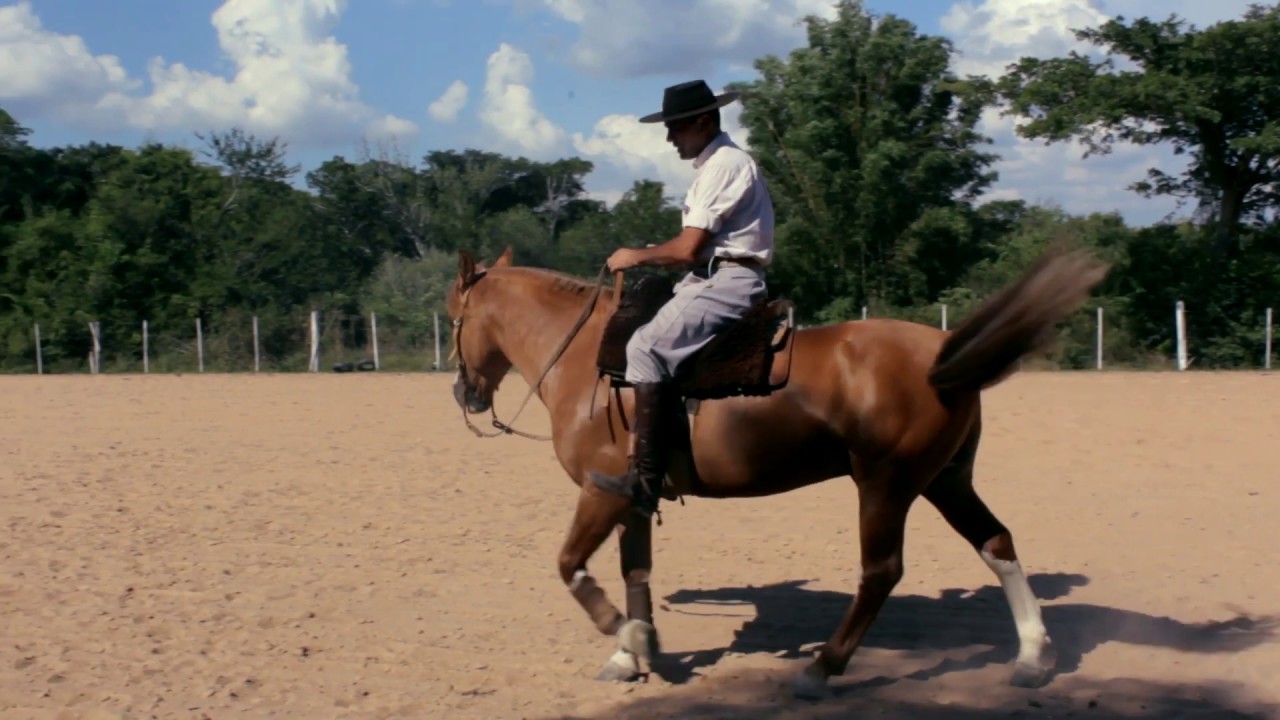 Dica de Giro sobre Patas ou Spin   Centro de Treinamento Marcus Bueno