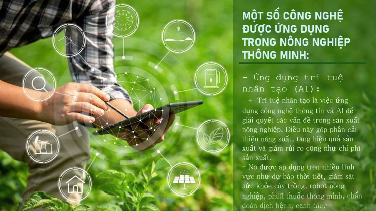 BP4 12 THUC HANH DIA  9A1