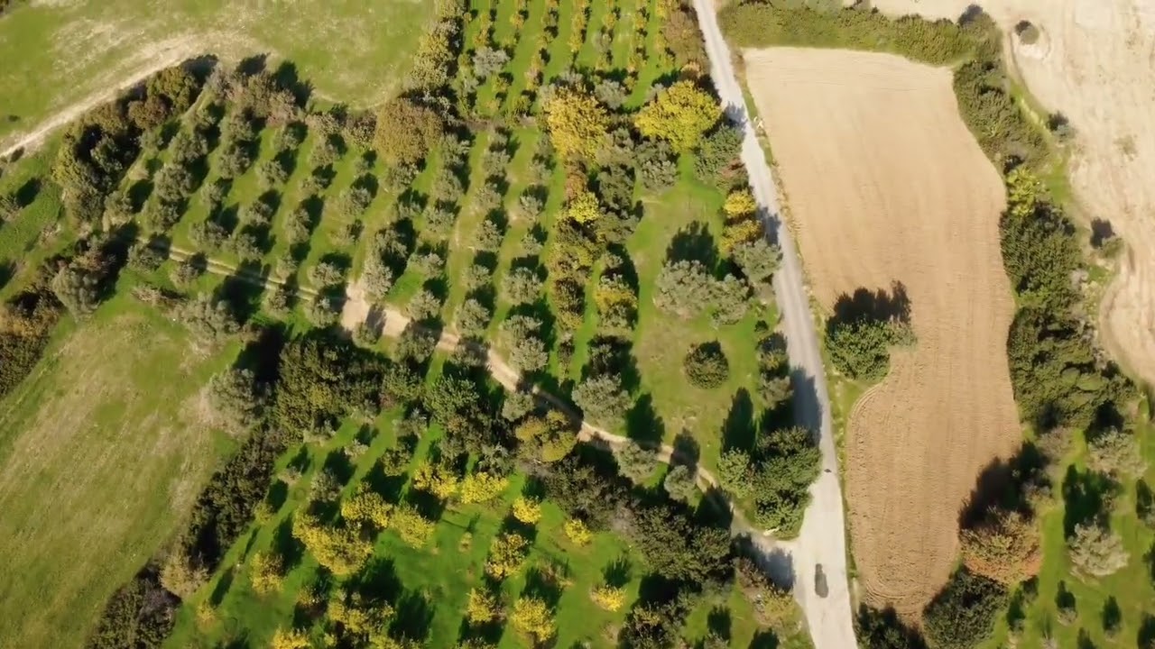 Drone video Cyprus fields of Choirokoitia #cyprus #djimini2 #birdsview #fileds #dronevideography