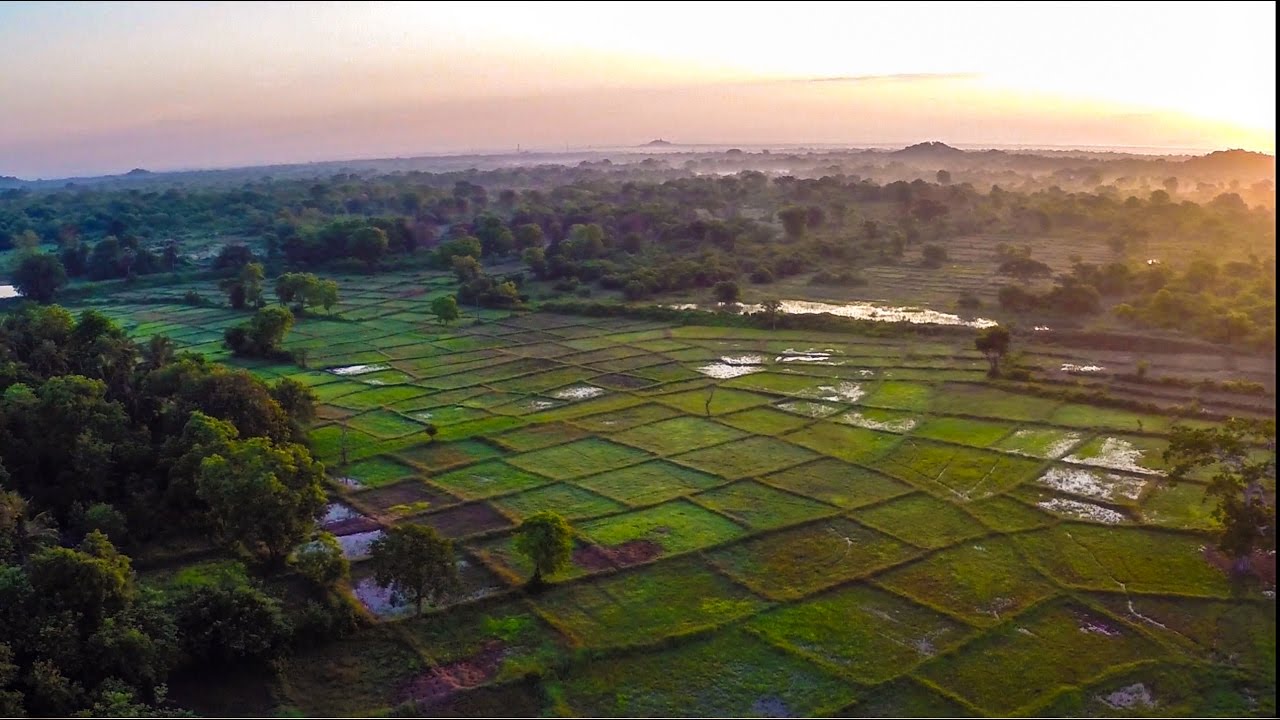 Ancient water tanks of Sri Lanka to adapt to a changing climate