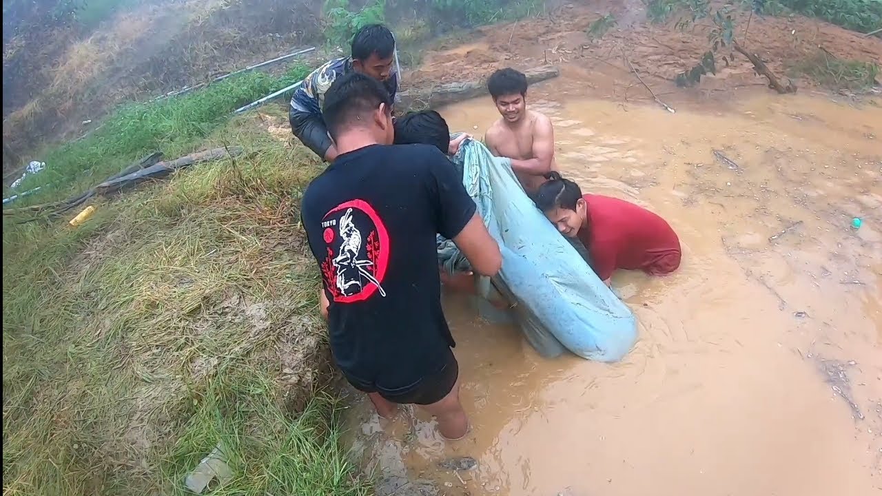 Proses Penangkapan Ikan Di Kolam Yang Tertimpah Longsor 
