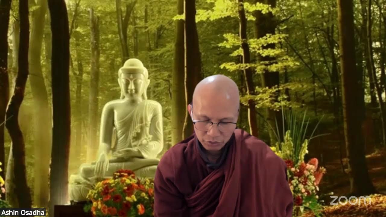 ဝိသုဒ္ဓိမဂ်သင်တန်း အပိုင်း− ၂၄၉ - မဂ္ဂါမဂ္ဂ ဉာဏဒဿန ဝိသုဒ္ဓိ - ဆရာတော်ဦးဩသဓ