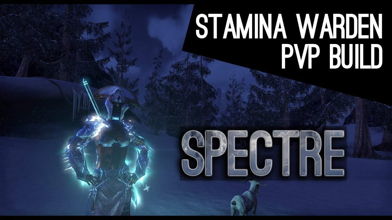 Stamina Warden PvP Build 