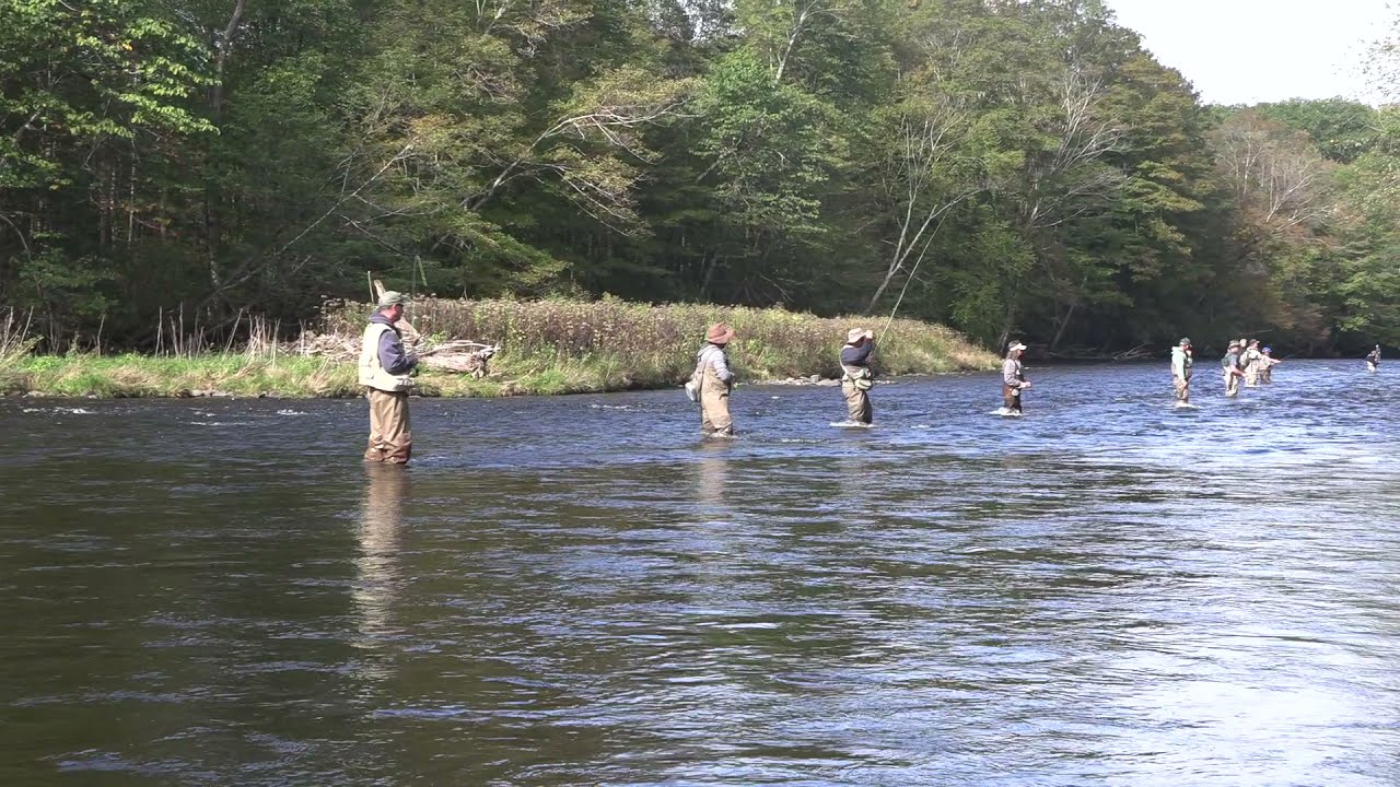 Salmon River (NY) Madness - On a Weekday