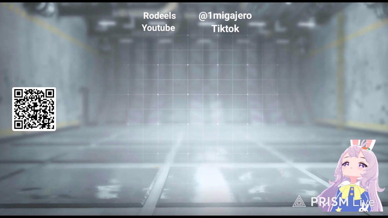 Transmisión en directo de Rodeels