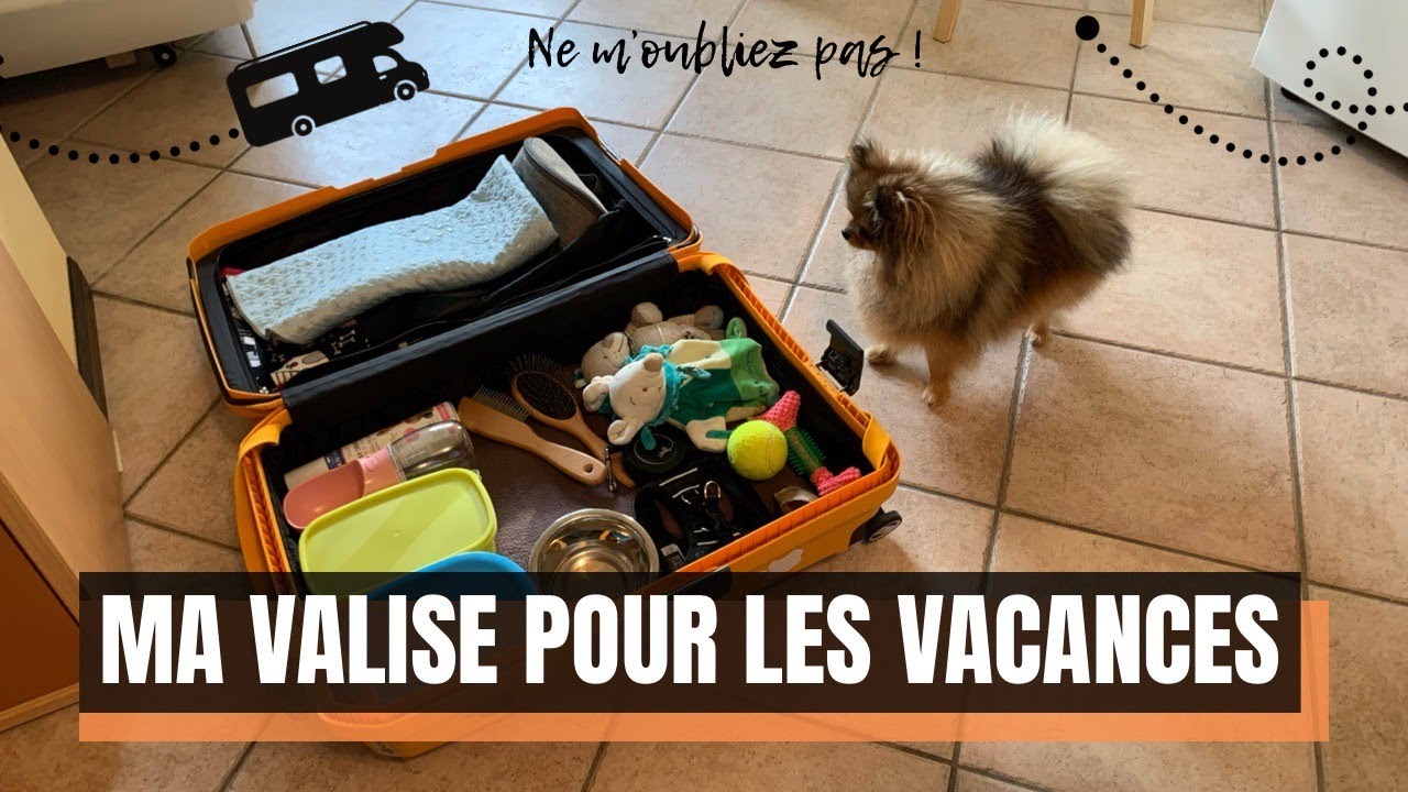 🐶 Les indispensables pour voyager avec mon chien 🐾 : ✦ 100% #POMERANIAN