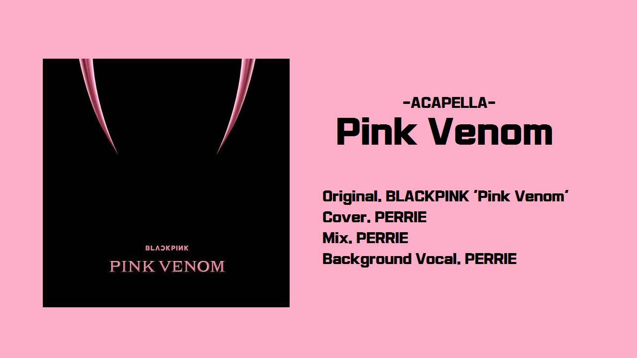 [COVER] BLACKPINK 'Pink Venom' [Acapella Ver.]
