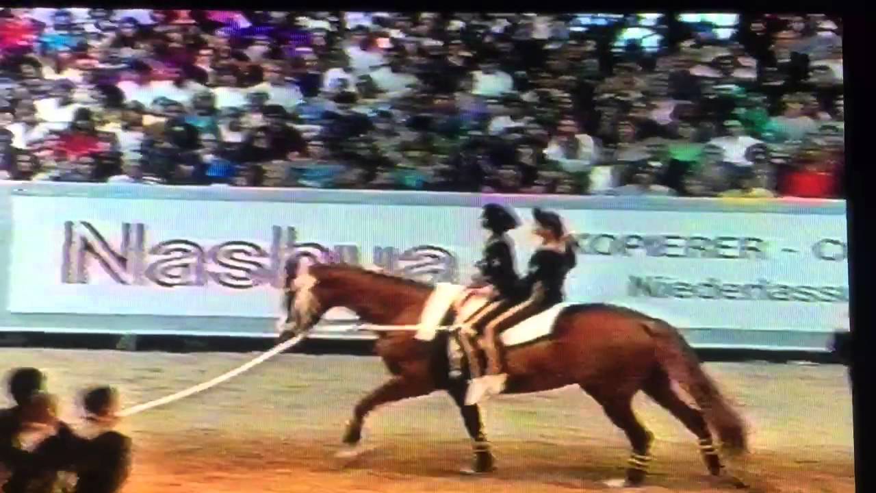 Voltigier Weltmeisterschaft Heilbronn 1992 - Team Suisse