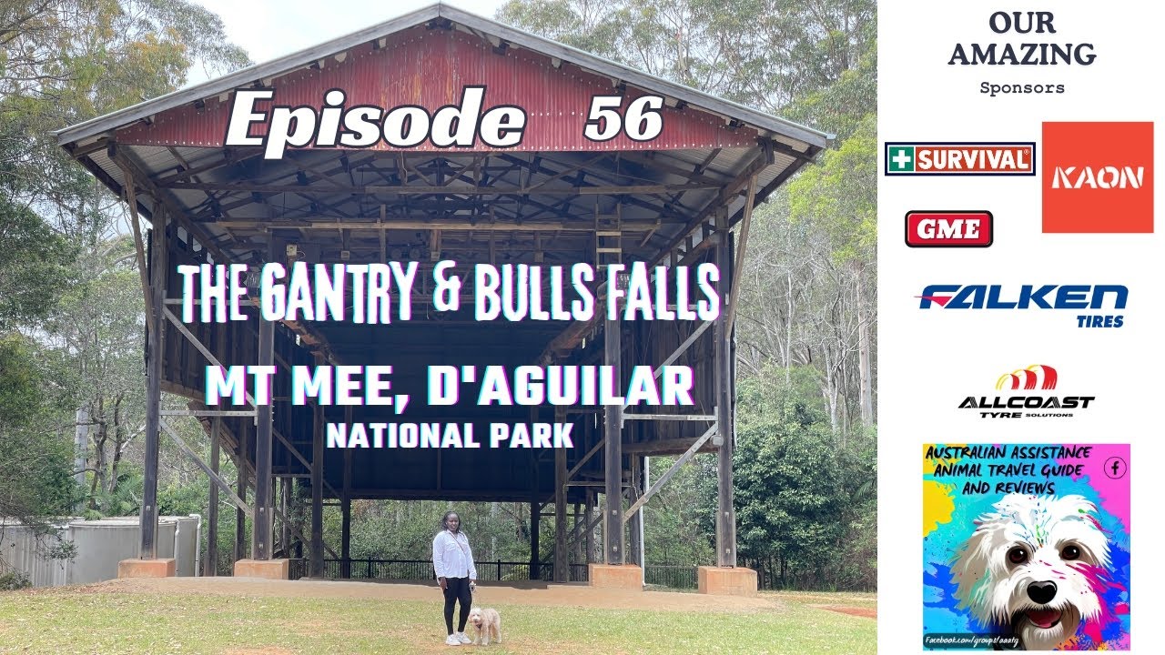 Episode 56 Assistance Animal @ The Gantry and Bulls Falls , MT Mee , D'Aguilar National Park QLD