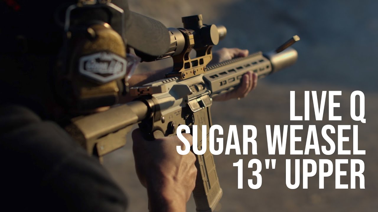 Live Q Sugar Weasel 13