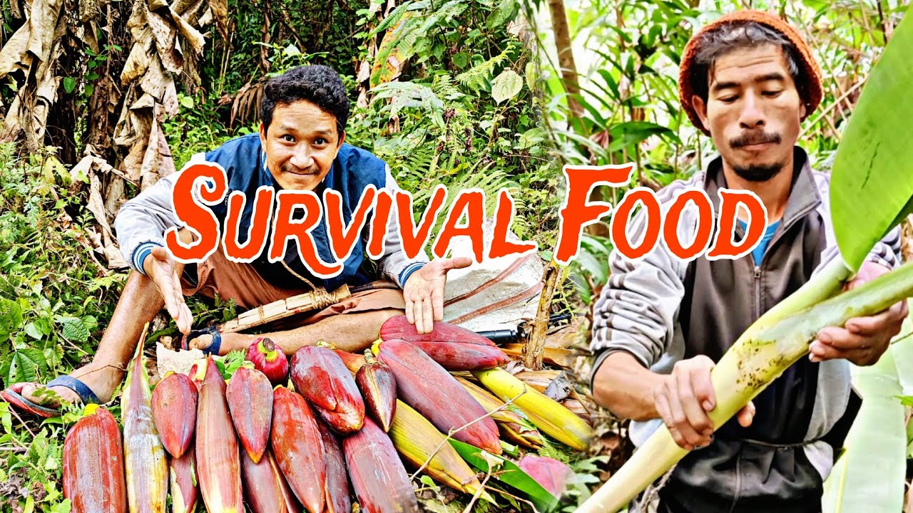 Wild Survival Food Adventure : Exploring Jairampur’s Deep Forest @SurajCooksVlogs