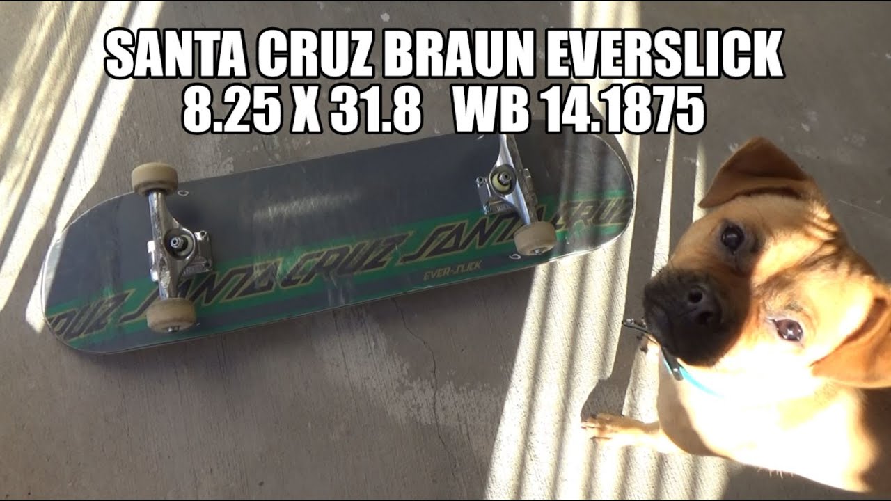 Santa Cruz Everslick 8.25 x 31.8 Deck Review