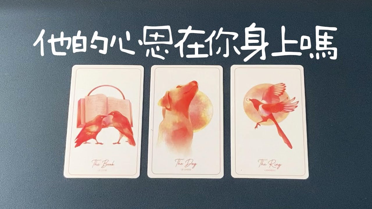 他的心思在你身上嗎？他到底在想什麼？你們之後的發展走向|曖昧|愛情|戀愛|桃花|塔羅占卜|