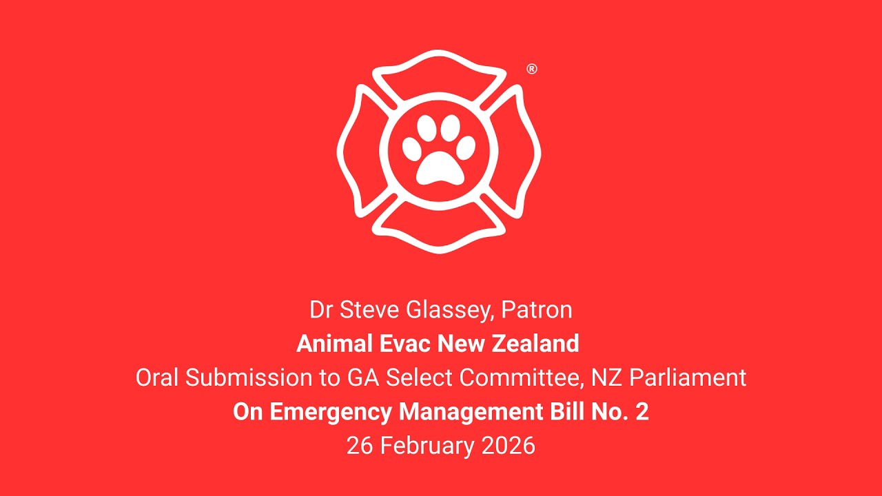 AENZ GA Oral Submission to EM Bill